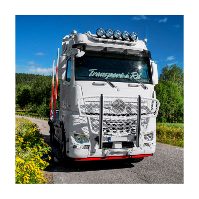 Pare buffle TRUX MERCEDES ACTROS MP4 / MP5 2500mm