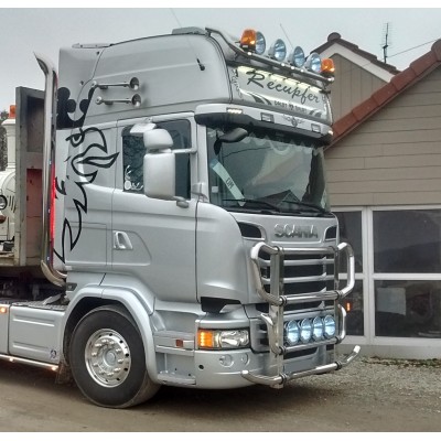 PARE BUFFLE BUTTERFLY SCANIA R SERIES 2009+